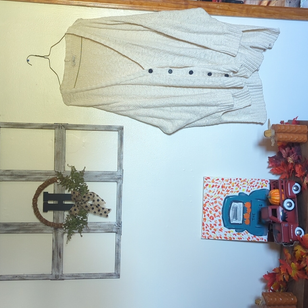 American eagle cardigan